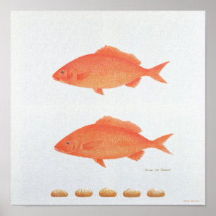 Dives Five Thousand 2005 Poster