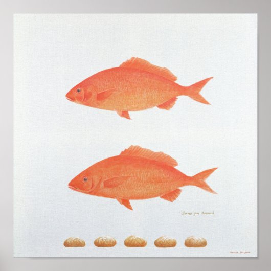 Dives Five Thousand 2005 Poster (Vorne)