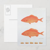 Dives Five Thousand 2005 Postkarte (Vorne/Hinten)