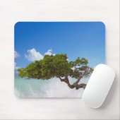 Divi Divi Baum, Eagle Beach, Aruba, Karibik Mousepad (Mit Mouse)