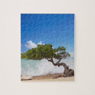 Divi Divi Baum, Eagle Beach, Aruba, Karibik Puzzle