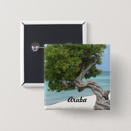 Divi Divi Baum in Aruba Button (Vorne & Hinten)