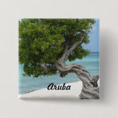 Divi Divi Baum in Aruba Button (Vorderseite)