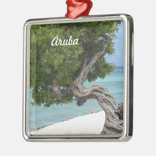 Divi Divi Baum in Aruba Silbernes Ornament (Links)