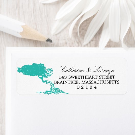 Divi Divi Tree Aruba | RÜCKSENDEADRESSE (Insitu)