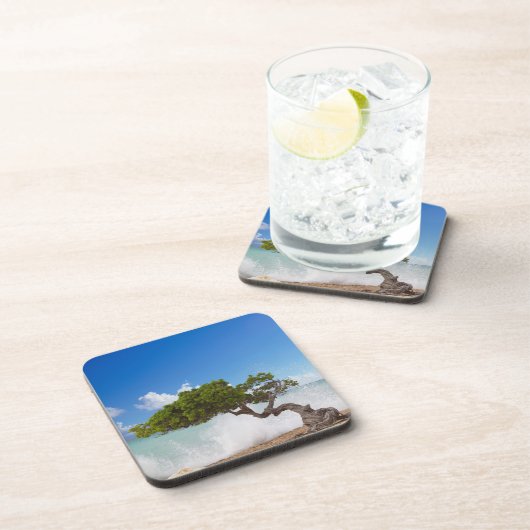 Divi Divi Tree, Eagle Beach, Aruba, Karibik Getränkeuntersetzer (Rechte Seite)