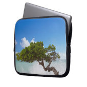 Divi Divi Tree, Eagle Beach, Aruba, Karibik Laptopschutzhülle (Vorderseite Links)
