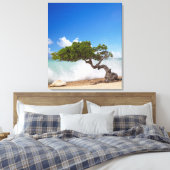 Divi Divi Tree, Eagle Beach, Aruba, Karibik Leinwanddruck (Insitu (Schlafzimmer))