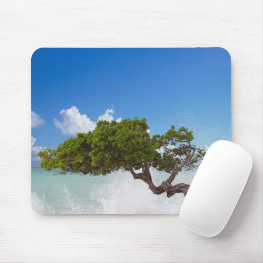 Divi Divi Tree, Eagle Beach, Aruba, Karibik Mousepad (Mit Mouse)