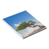 Divi Divi Tree, Eagle Beach, Aruba, Karibik Notizblock (angewinkelt)