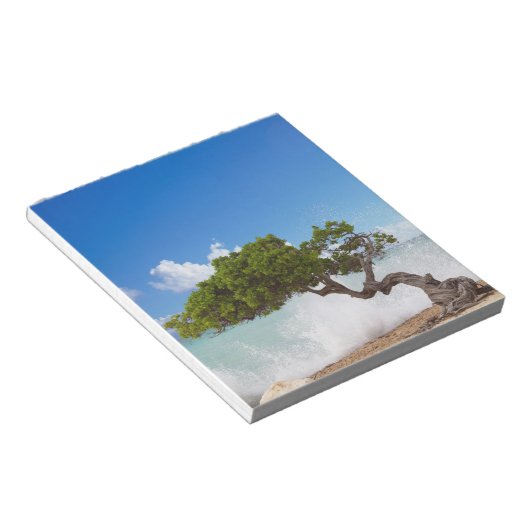 Divi Divi Tree, Eagle Beach, Aruba, Karibik Notizblock (angewinkelt)