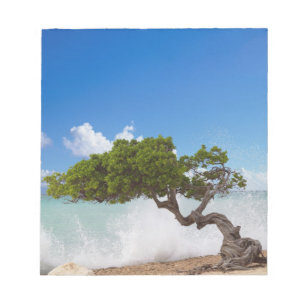 Divi Divi Tree, Eagle Beach, Aruba, Karibik Notizblock