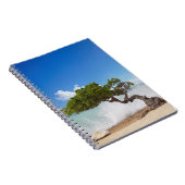 Divi Divi Tree, Eagle Beach, Aruba, Karibik Notizblock (Rechte Seite)