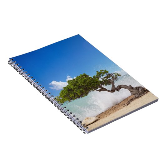 Divi Divi Tree, Eagle Beach, Aruba, Karibik Notizblock (Rechte Seite)