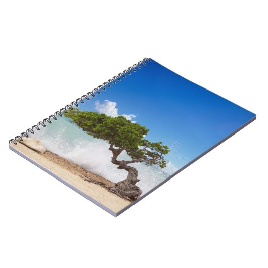 Divi Divi Tree, Eagle Beach, Aruba, Karibik Notizblock (Linke Seite)