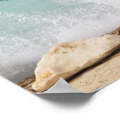 Divi Divi Tree, Eagle Beach, Aruba, Karibik Poster (Ecke)