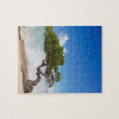 Divi Divi Tree, Eagle Beach, Aruba, Karibik Puzzle (Horizontal)