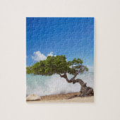 Divi Divi Tree, Eagle Beach, Aruba, Karibik Puzzle (Vertikal)