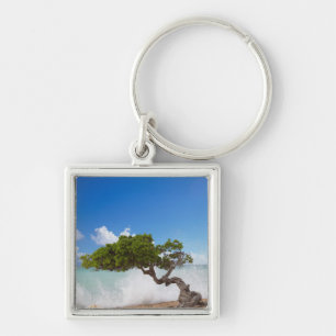 Divi Divi Tree, Eagle Beach, Aruba, Karibik Schlüsselanhänger