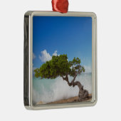 Divi Divi Tree, Eagle Beach, Aruba, Karibik Silbernes Ornament (Rechts)