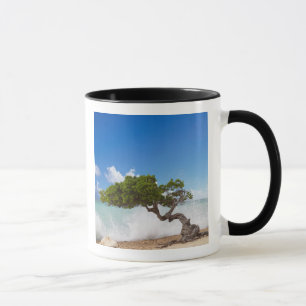Divi Divi Tree, Eagle Beach, Aruba, Karibik Tasse