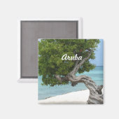 Divi Divi Tree in Aruba Magnet (Vorderseite/Rückseite)