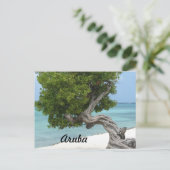 Divi Divi Tree in Aruba Postkarte (Stehend Vorderseite)