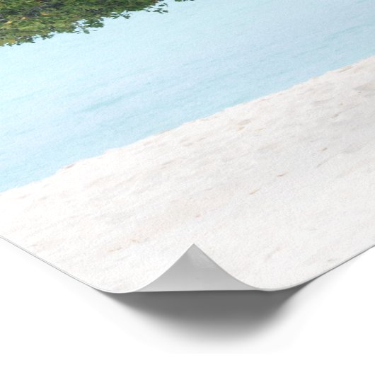 Divi Divi Tree Poster (Ecke)