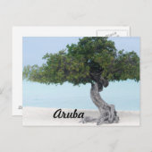 Divi Divi Tree Postkarte (Vorne/Hinten)