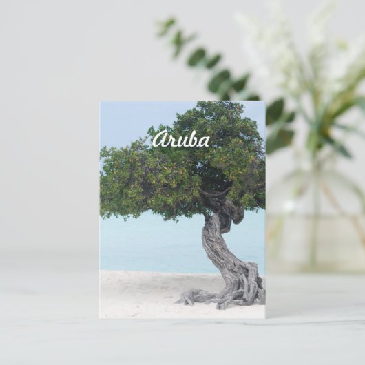 Divi Divi Tree Postkarte (Stehend Vorderseite)