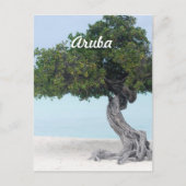 Divi Divi Tree Postkarte (Vorderseite)