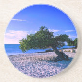 Divi Divi Tree Sandstone Untersetzer (Vorne)