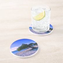 Divi Divi Tree Sandstone Untersetzer