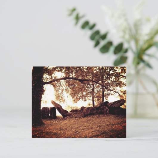 Divine Archive Postkarte (Stehend Vorderseite)