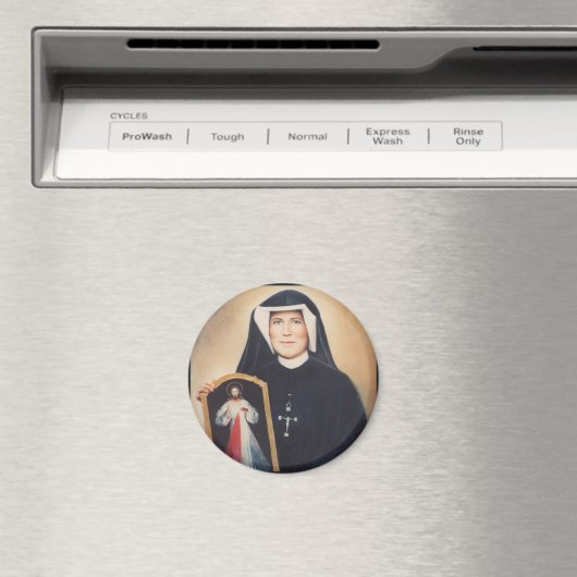 Divine Mercy Magnet (In Situ (Geschirrspüler))