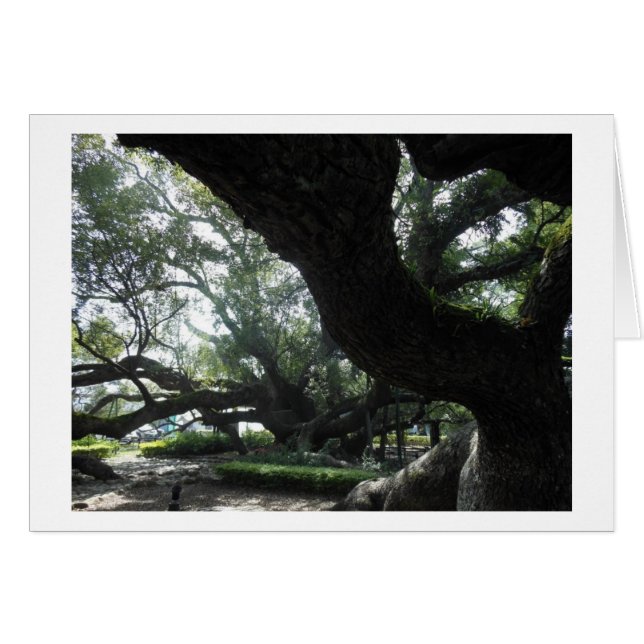 Divine Tree Card (Vorderseite (Horizontal))