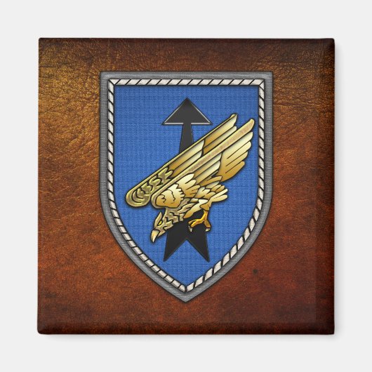 Division Spezielle Operationen [DSO] Magnet (Vorne)