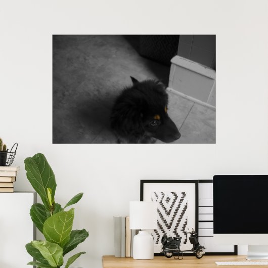 Divo B&W Poster (Heimbüro)