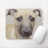 Divo Mousepad (Mit Mouse)
