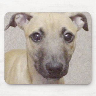 Divo Mousepad