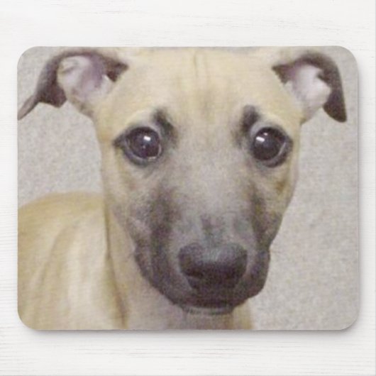 Divo Mousepad (Vorne)