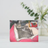 Dixie & Peanut im Erdnussbett Postkarte (Stehend Vorderseite)