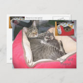 Dixie & Peanut im Erdnussbett Postkarte (Vorne/Hinten)