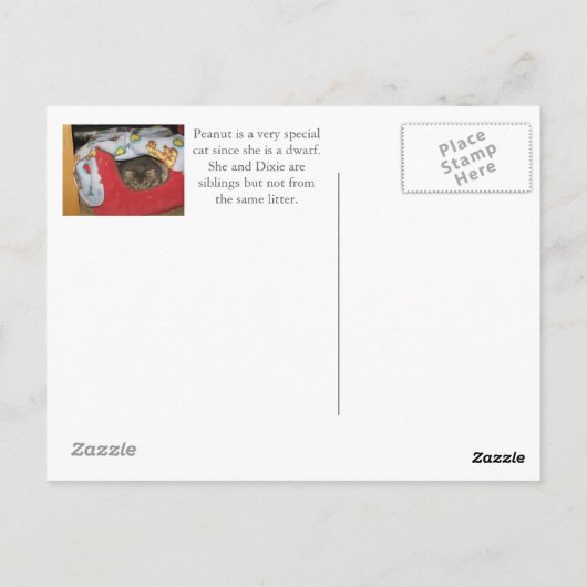 Dixie & Peanut im Erdnussbett Postkarte (Rückseite)