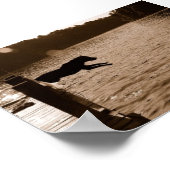 Dixie springt vom Dock Poster (Ecke)