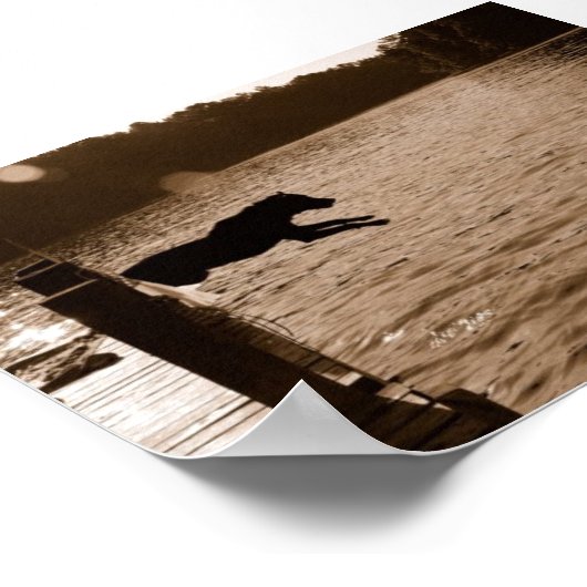 Dixie springt vom Dock Poster (Ecke)