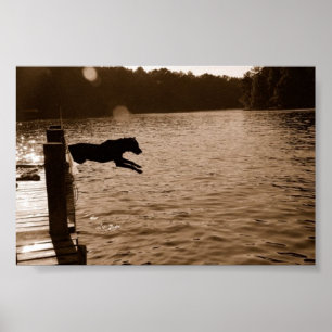 Dixie springt vom Dock Poster