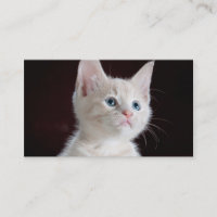 DIY Antriebskraft Ihr Foto-Gewohnheits-freier Raum