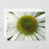 DIY-Blume Postkarte (Vorne/Hinten)