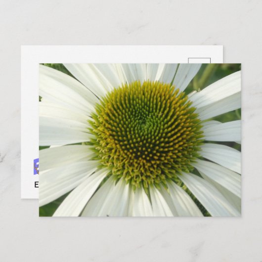 DIY-Blume Postkarte (Vorne/Hinten)